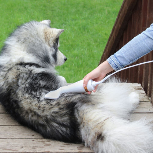 Secador Pet 2 em 1 Peludita: Seca, Remove Pelos Soltos e Desembaraça - OFERTA RELÂMPAGO!
